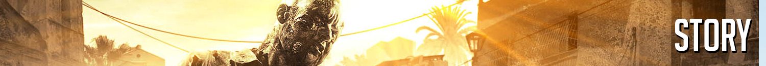 BANNER_STORY