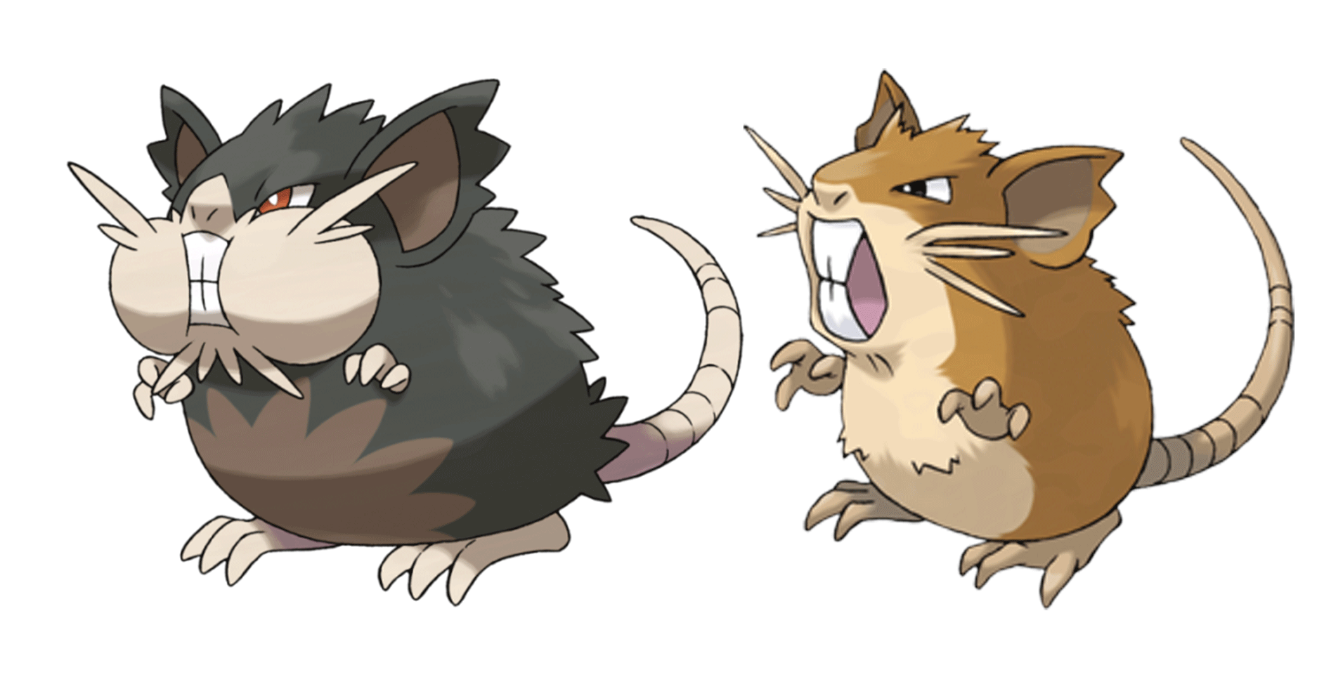 Raticate serebii