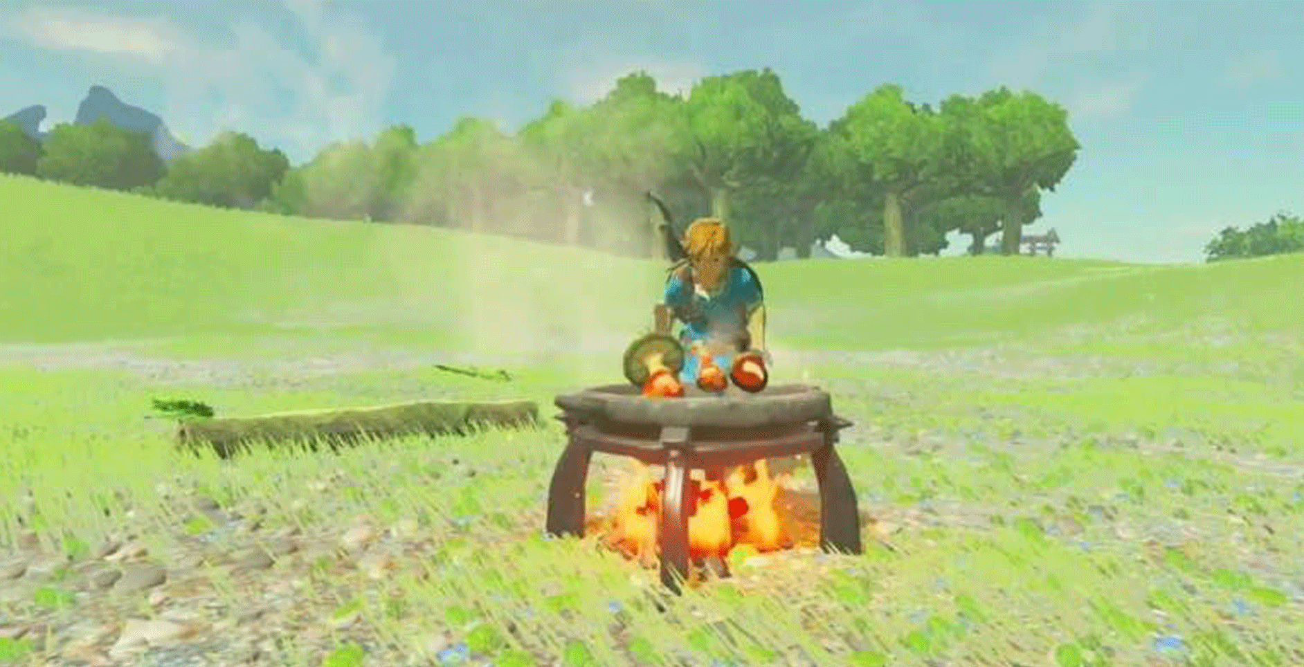 cook in breath of wild