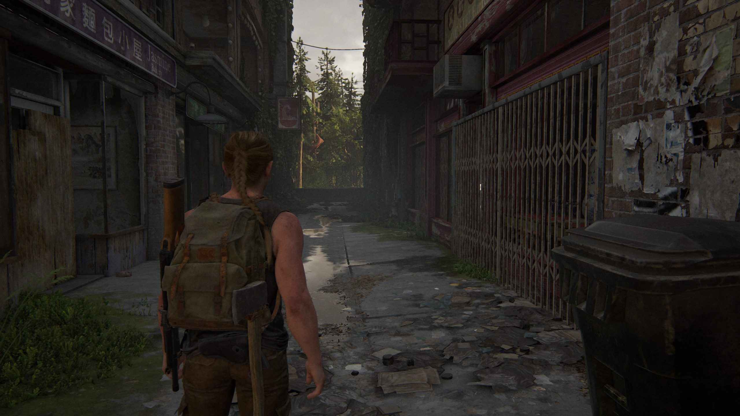 The last of us part 2 District