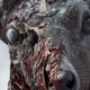 State Of Decay 3