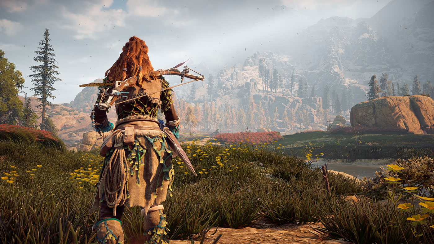 horizon zero dawn ps4 pro 60fps