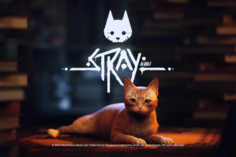 stray release date