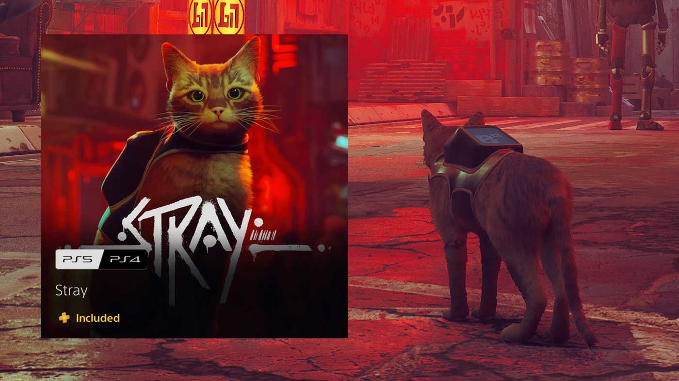 STRAY PS4- MyGames Now