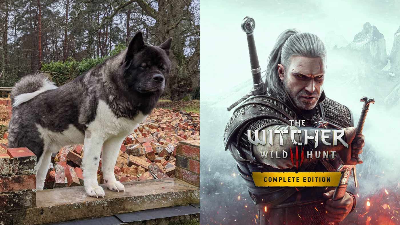 Lap it up: Henry Cavill's dog is in The Witcher 3 now