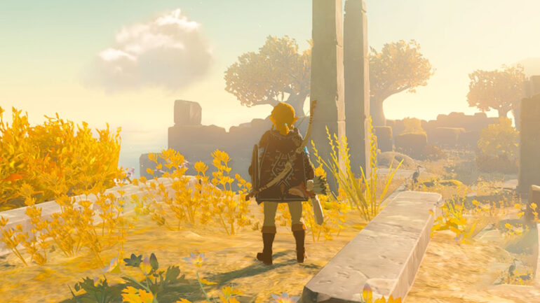 Zelda Tears of the Kingdom Preview