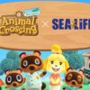 Animal Crossing New Horizons Aquarium Tour Australia