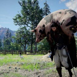 CRIMSON DESERT REVIEW