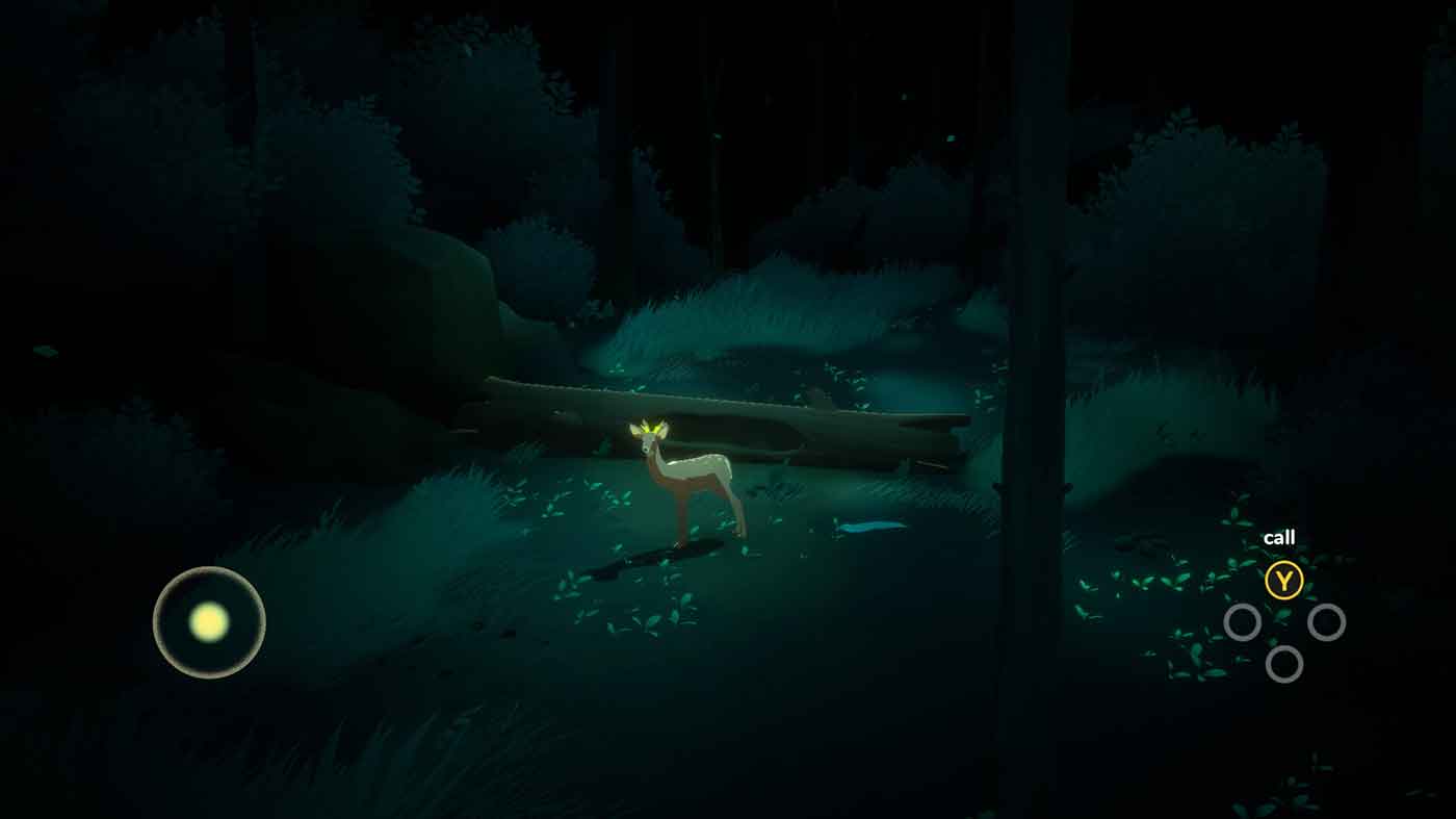 Way to the Woods