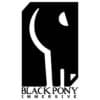 Black Pony logo featuring a stylized black pony head on a white background.